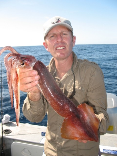 Arrow squid caught in 200mtrs